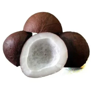 COCONUT DRY