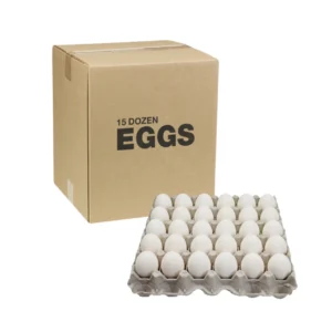 EXTRA LARGE DOZEN
