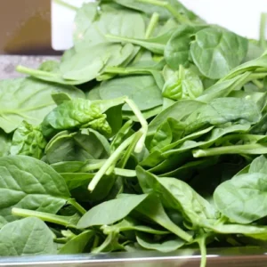 MICHELLE SPINACH